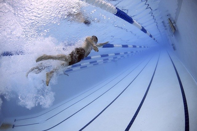 swimmers-g0d4e31038_640